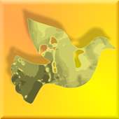 Words of the Father Daily