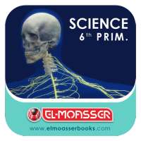 El-Moasser The Nervous System 6-Prim