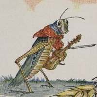 Cricket Sounds