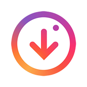 insta story saver icon
