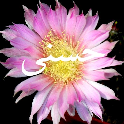 Husnaa Lock Screen icon