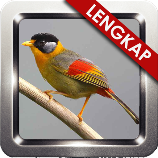 Kicau Panca Warna Lengkap icon