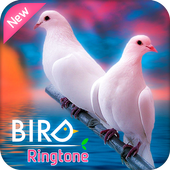 Ringtones 2018: Birds Sounds Ringtones icon