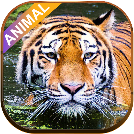 Animal sounds icon