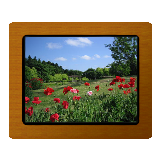 Various Photo Widget icon