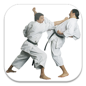 Guía de Karate icon