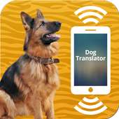 Dog translator (PRANK)