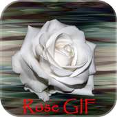 Rose GIF on 9Apps
