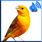 Birds Sound Pro icon