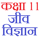 Class 11 Biology Notes &amp; Solutions (in hindi) icon