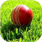 Live Cricket Match icon