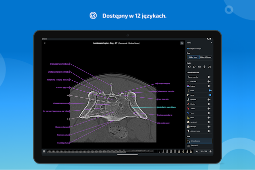 vet-Anatomy screenshot 15