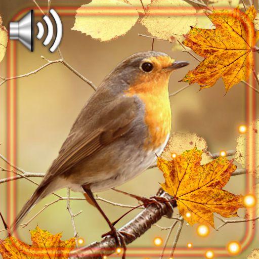 Autumn Birds Live Wallpaper icon