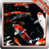 Koi Fish Live Wallpaper on 9Apps