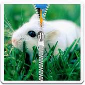 Pocket Pet Zip Lock icon