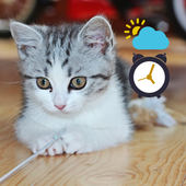 2016 Kitten Weather &amp; Alarm icon