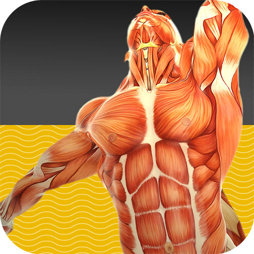 Muscle Tests 1 icon