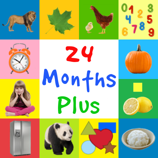 First Words 24 Months Plus (Baby Flashcards) icon