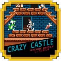 Crazy Funny Castle