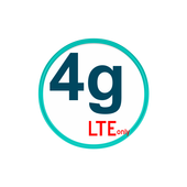 4G only Network mode icon