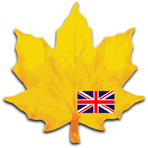 Learn english vocabulary icon