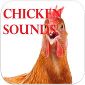 Chicken Sounds icon