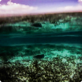 Lagoon Waves Live Wallpaper 4 icon