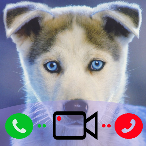 Fake call from Dog icon