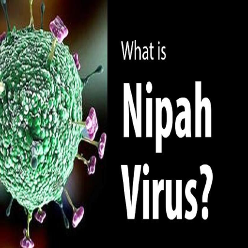 Nipah Virus icon
