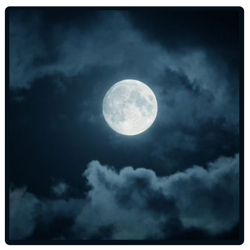 night sounds crickets icon