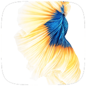 Gold Fish Live wallpaer icon
