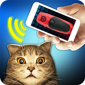 Training Cat Clicker icon