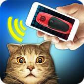 コタのためのクリッカートレーニング