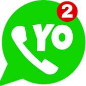 New YO Whats Latest Version