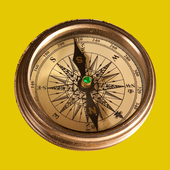 Compass Direction icon