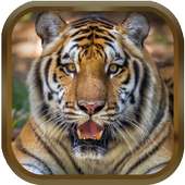 Free Animal Ringtones - Animal Sounds on 9Apps