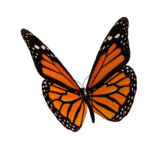 Animated 3D Butterfly icon