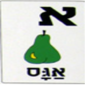 ikon Hebrew Memory Game