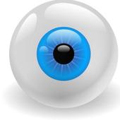 SPY CAM NS Browser icon