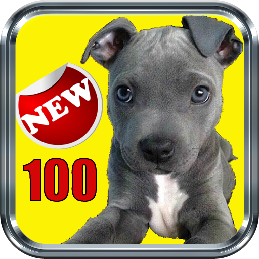 Dog Training Tips Best 100 icon