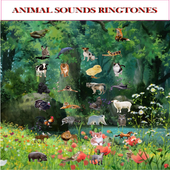 Animal Ringtones icon