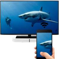 Screen Mirroring Pro TV