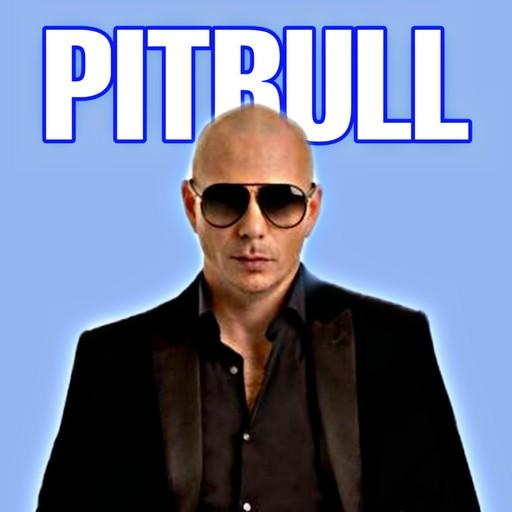 Pitbull All Songs icon