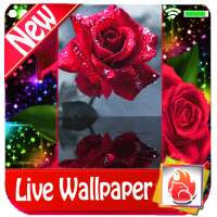 Red rose Live Wallpaper 2019 free Red rose LWP on 9Apps