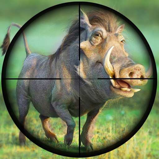 Pig Hunting Shooting Wild Animals Hunt Game icon