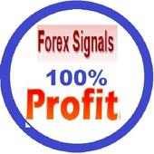 Signal Forex Free use, 100 pips daily.