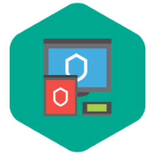 Security and Connection icon