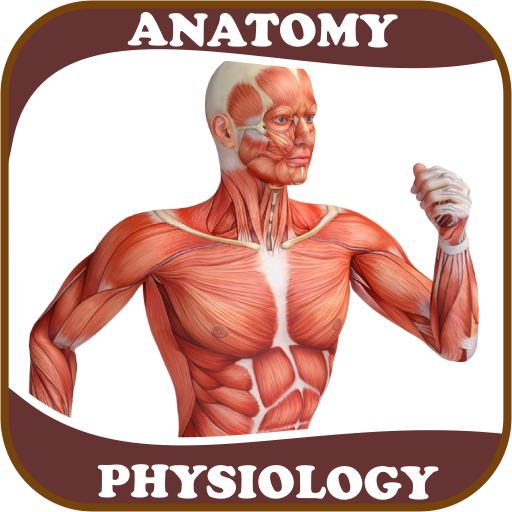 ikon Human Anatomy and Physiology: With Illustrations