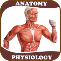 Human Anatomy and Physiology: With Illustrations on 9Apps