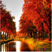 Wallpaper new 2017 icon